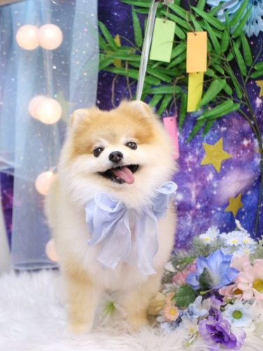 20250712モコくん